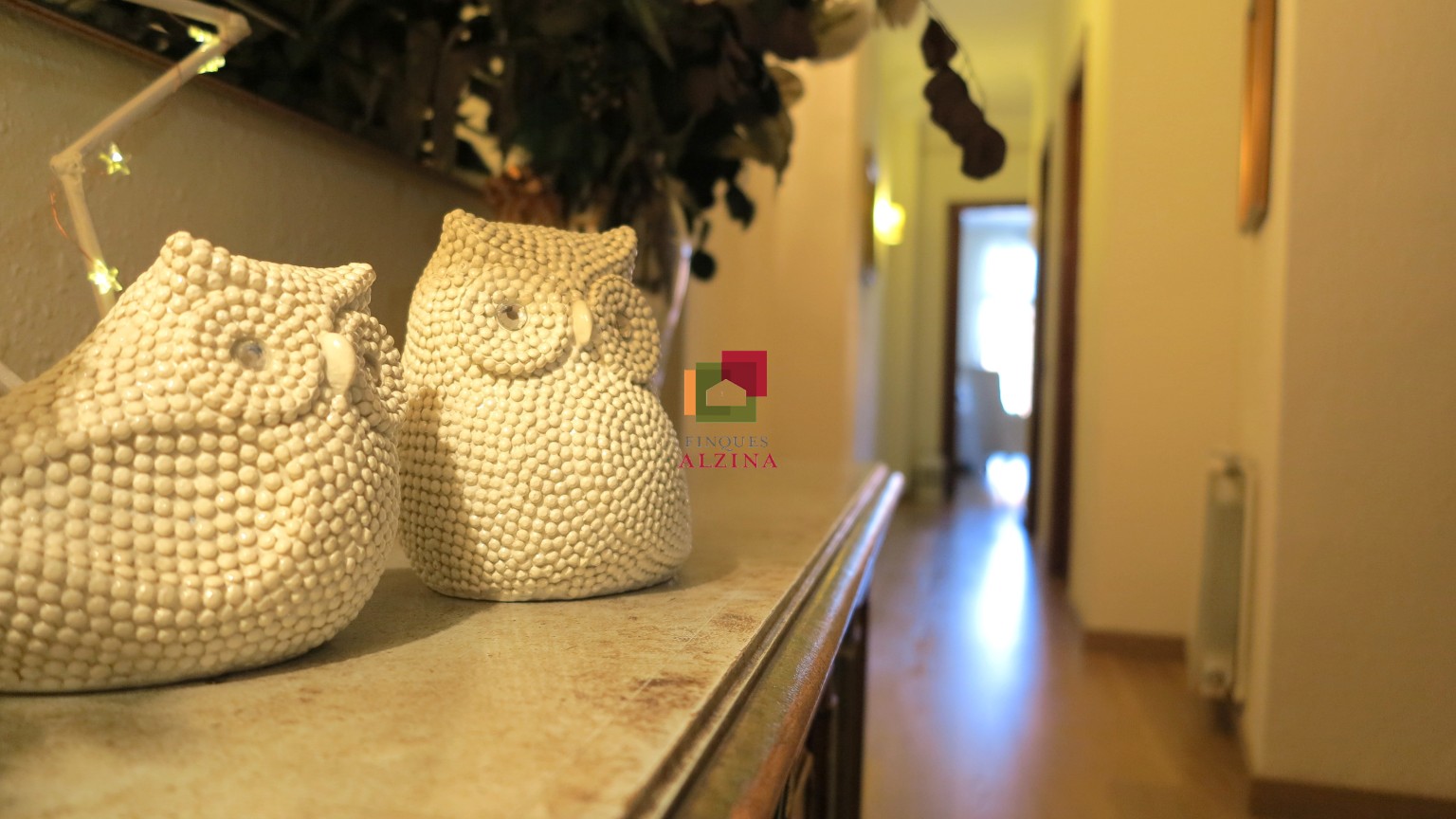 Luz, Espacio y Confort en una Ubicación Privilegiada ✨