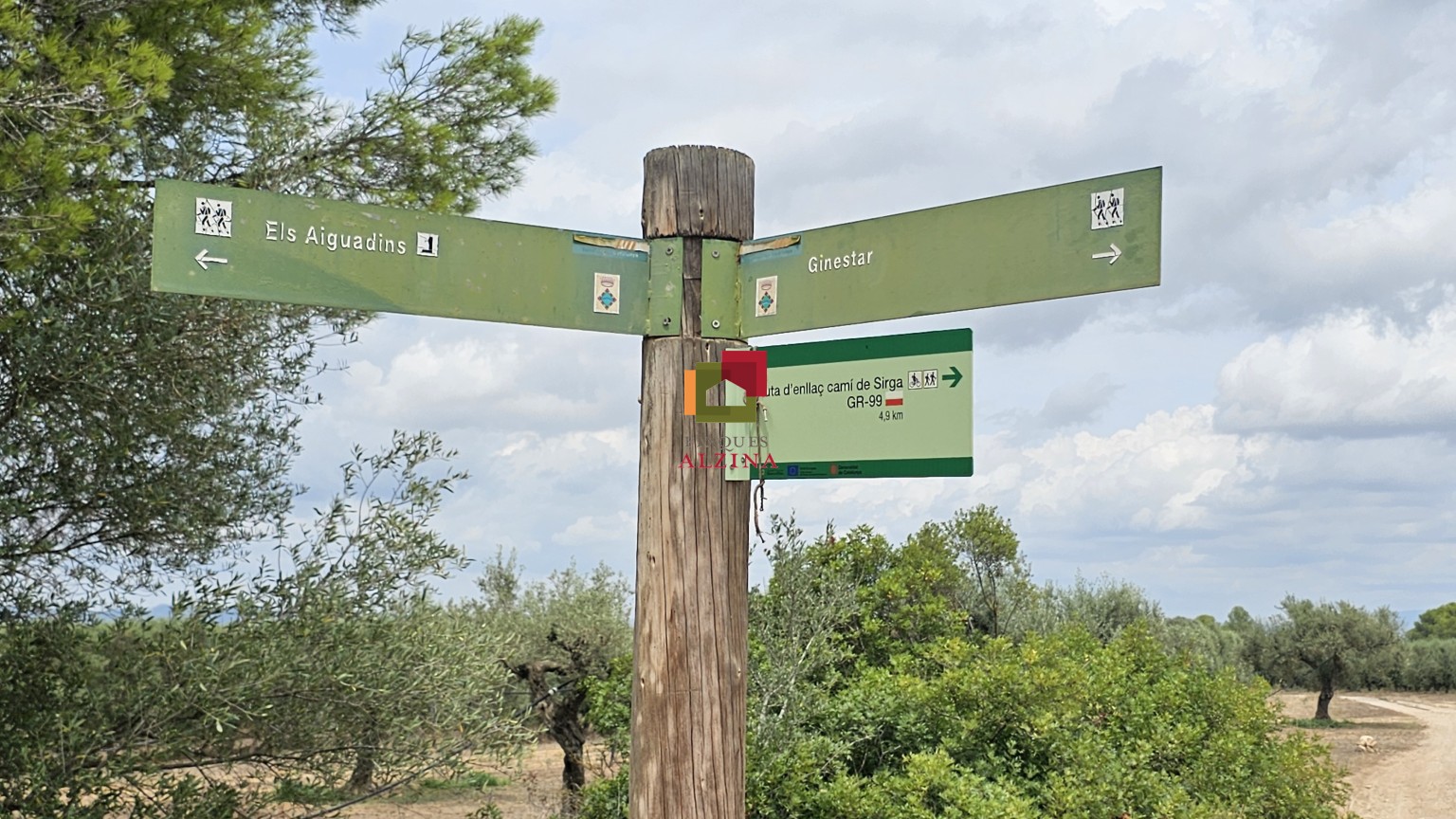 Fincas rústicas de regadío en venta en Ginestar (Móra d’Ebre, Tarragona)