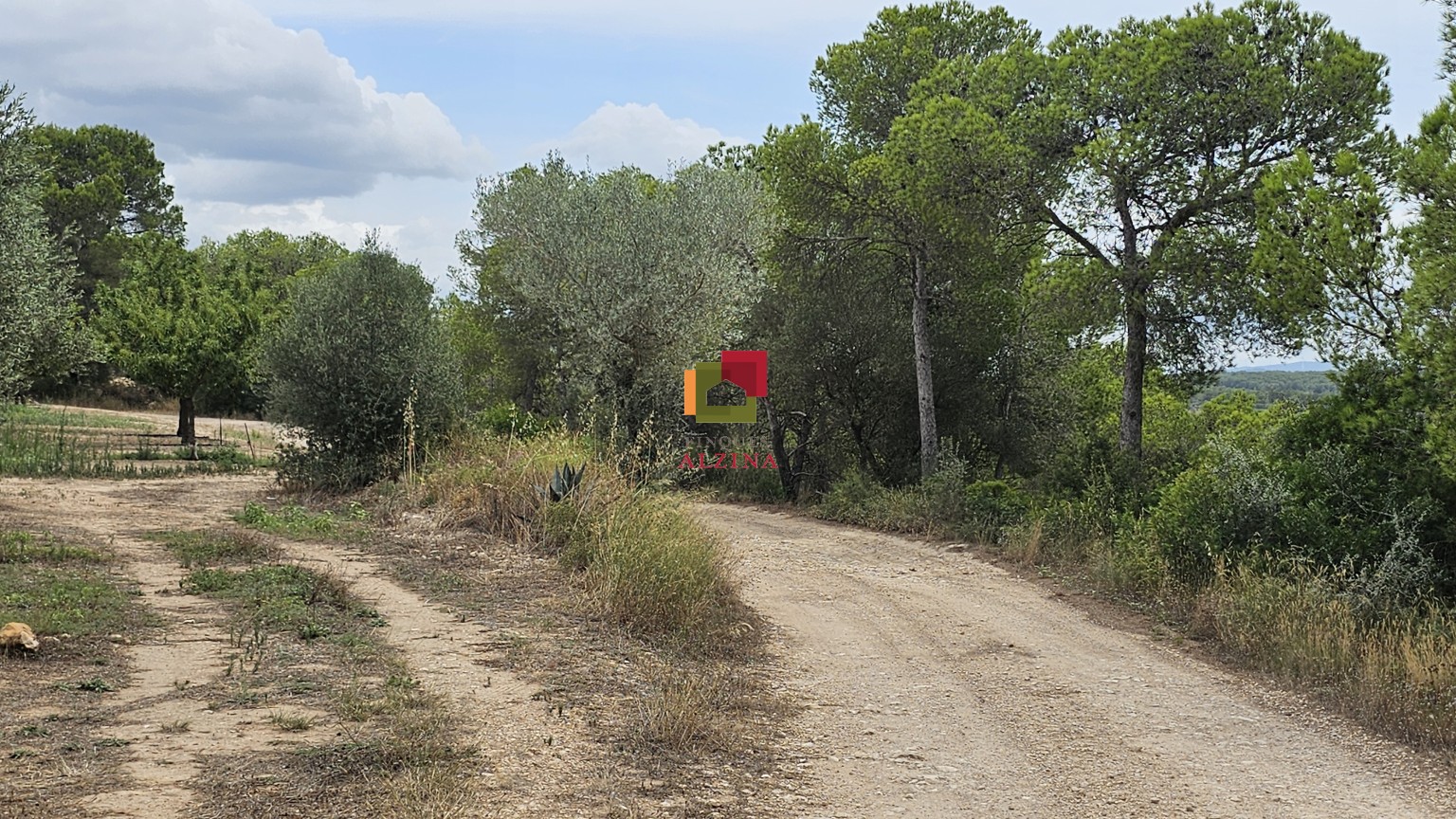 Fincas rústicas de regadío en venta en Ginestar (Móra d’Ebre, Tarragona)