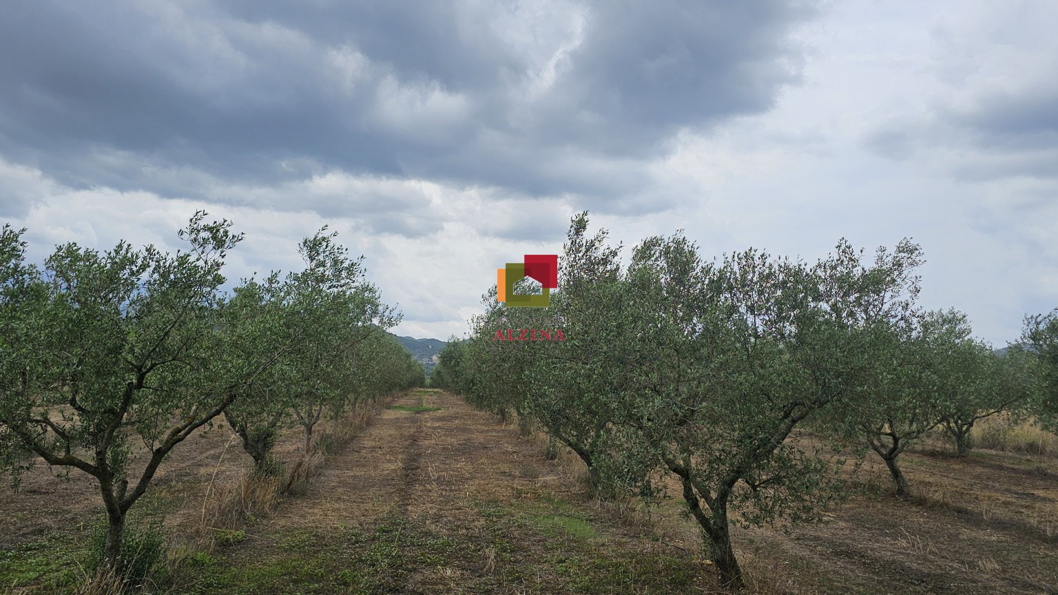 Fincas rústicas de regadío en venta en Ginestar (Móra d’Ebre, Tarragona)