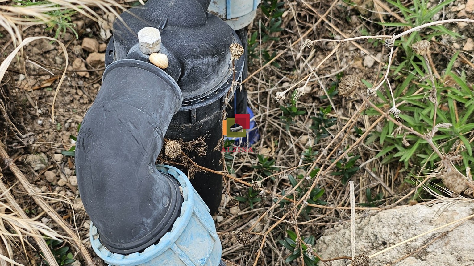 Fincas rústicas de regadío en venta en Ginestar (Móra d’Ebre, Tarragona)