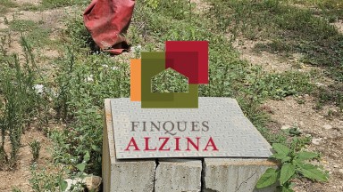 Fincas rústicas de regadío en venta en Ginestar (Móra d’Ebre, Tarragona)