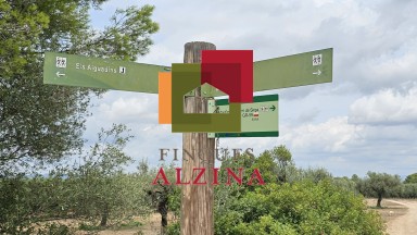 Fincas rústicas de regadío en venta en Ginestar (Móra d’Ebre, Tarragona)