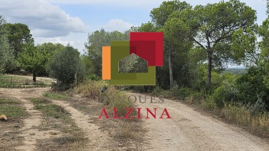 Fincas rústicas de regadío en venta en Ginestar (Móra d’Ebre, Tarragona)