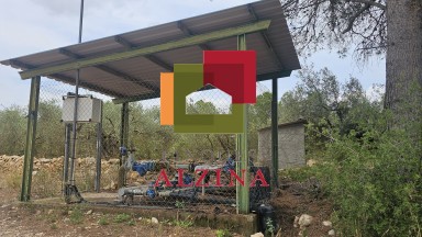 Fincas rústicas de regadío en venta en Ginestar (Móra d’Ebre, Tarragona)