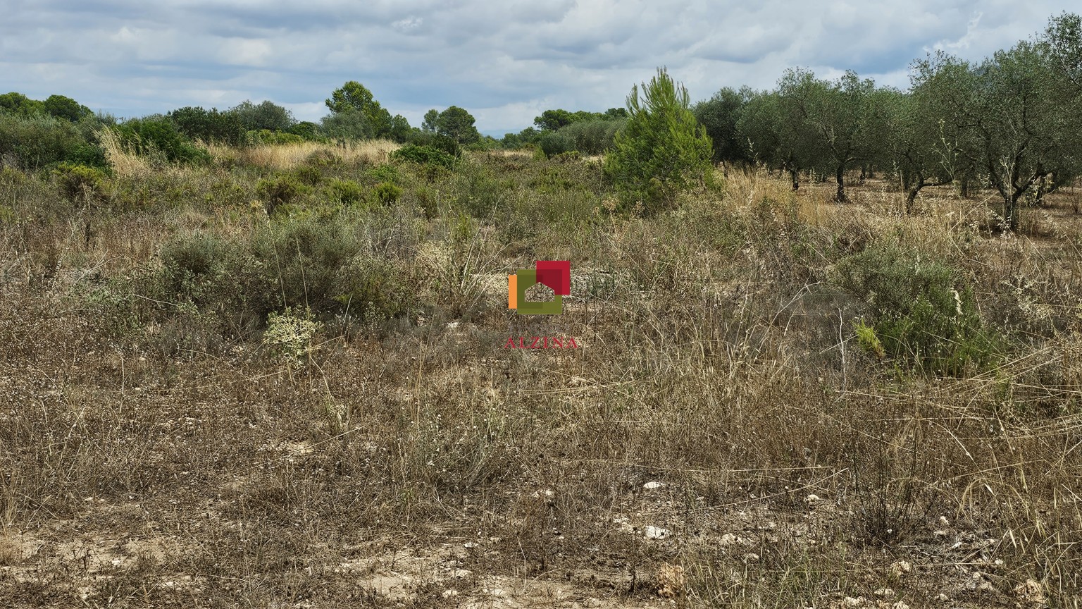 FINCA RÚSTICA DE REGADIU