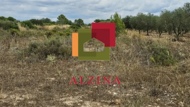 FINCA RÚSTICA DE REGADIU