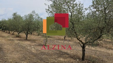 FINCA RÚSTICA DE REGADIU