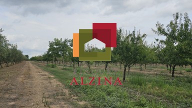 FINCA RÚSTICA DE REGADIU