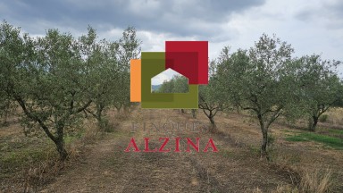 FINCA RÚSTICA DE REGADIU
