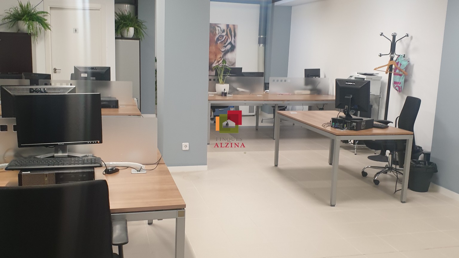 On neixen els projectes grans – Local premium a Esplugues